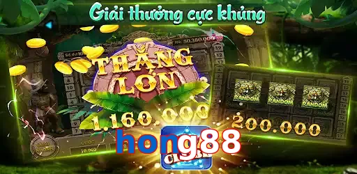 hong88